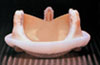 tissue sm Available Options for Heart Valve Replacement
