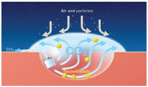 figure-3